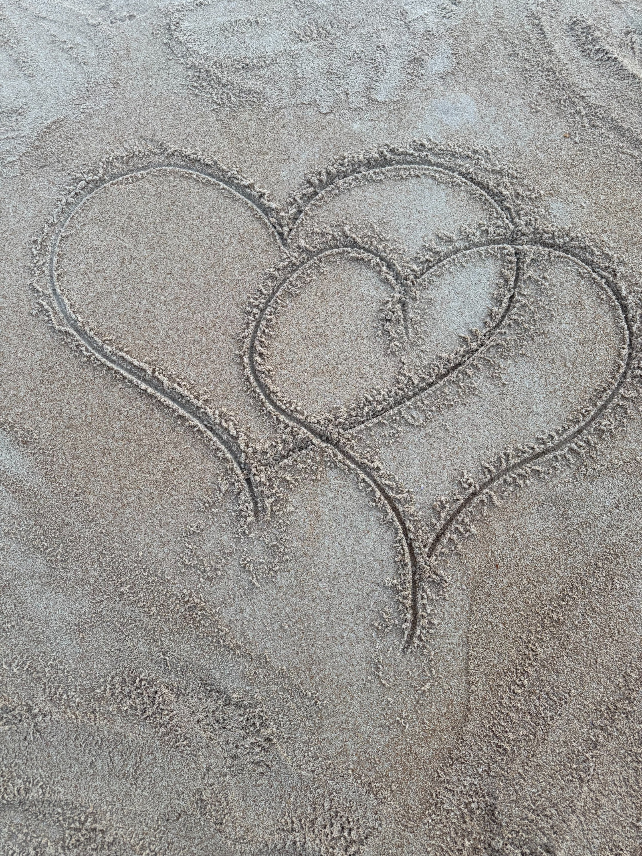 wedding officiant elopement vows